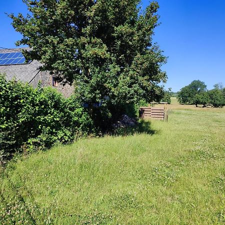 Le Champs Des Lievres Beaumont Exterior foto